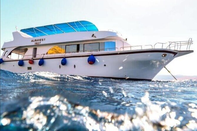 Take advantage of a half-day boat dive experience in Red sea of Aqaba. - What Travelers Say