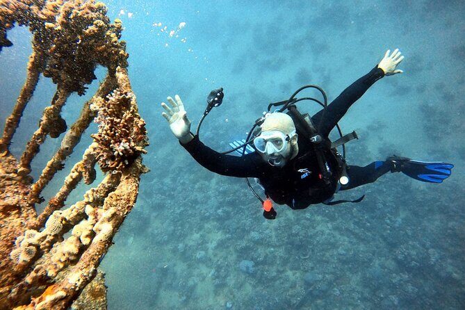 Take advantage of a half-day boat dive experience in Red sea of Aqaba. - Who Will Love This Tour?