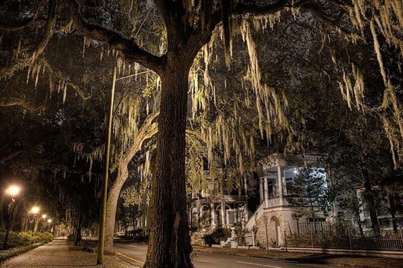 Take an Amazing Guided Ghost Tour! - Introducing the Charleston Ghost Tour Experience