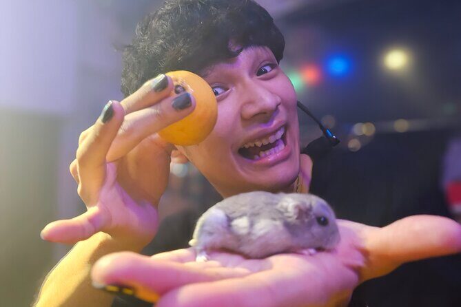 Take Home the Wonder: Magic Show and Magic Lesson Experience - The Value of the Experience