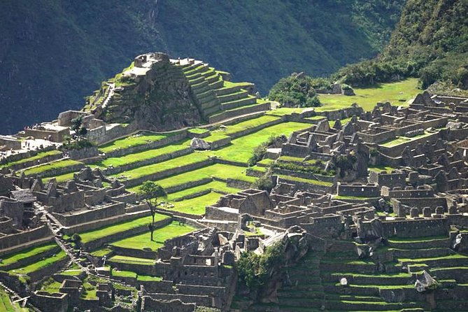take-your-sweet-selfie-with-baby-alpacas-half-day-tour-moray-the-salt-mines