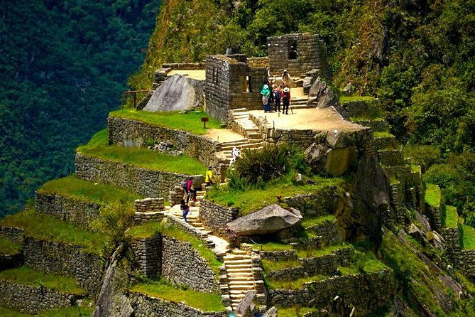 take-your-sweet-selfie-with-baby-alpacas-half-day-tour-moray-the-salt-mines