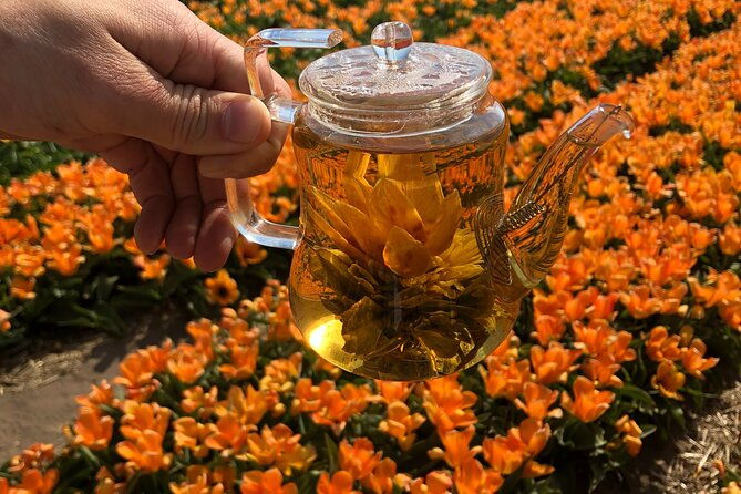 taking-pictures-in-the-tulip-field-at-de-tulperij