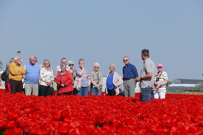 taking-pictures-in-the-tulip-field-at-de-tulperij