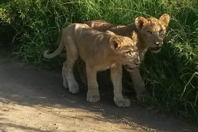 Tala Game reserve. Natal Lion Park and Valley of 1000 hills - Key Points