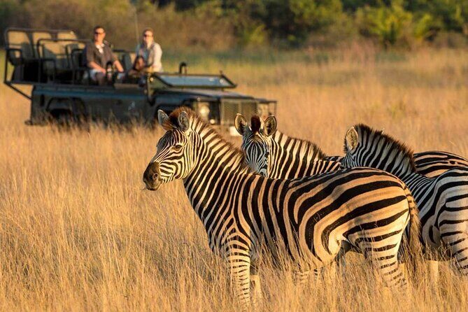 Tala Game Reserve, Phezulu Safari & Natal Lion Park Full Day Tour From Durban - Exploring Durban’s Wild Side: Tala Game Reserve, Phezulu Safari & Natal Lion Park Full Day Tour