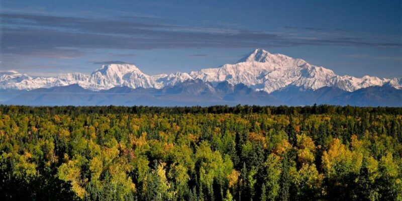 Talkeetna: Denali Zipline Tours - Authentic Insights from Guests