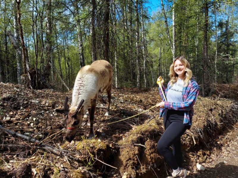 Talkeetna: The Reindeer Grove Homestead Tour and Forage - Key Points
