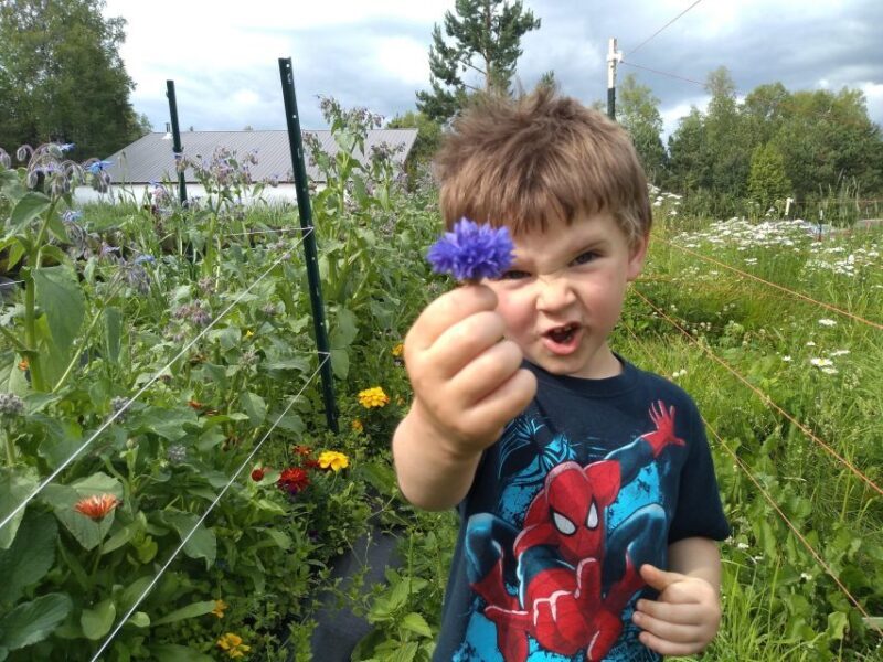 Talkeetna: The Reindeer Grove Homestead Tour and Forage - Final Thoughts