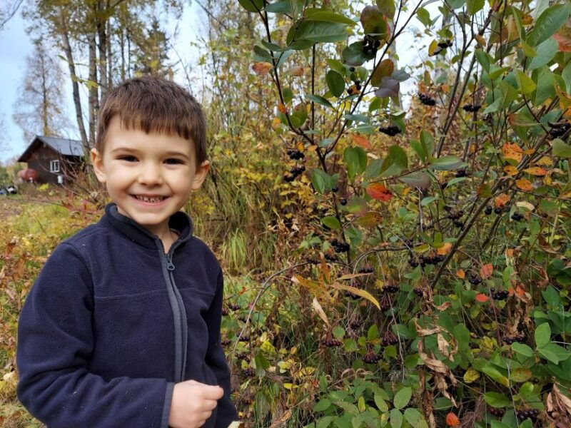 talkeetna-the-reindeer-grove-homestead-tour-and-forage
