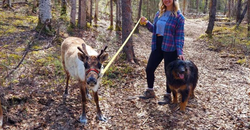 talkeetna-the-reindeer-grove-homestead-tour-and-forage