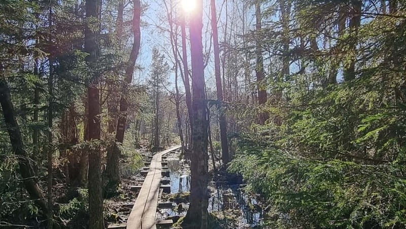 Tallinn: Best Estonian Nature Trails in a Day Guided Tour - Key Points  