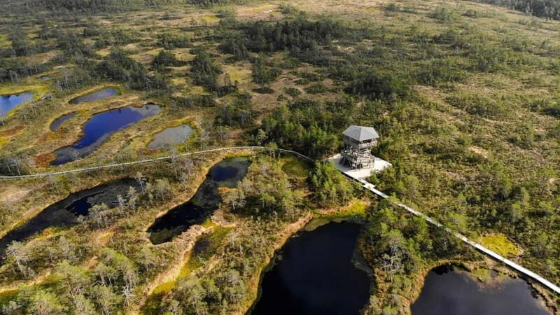 Tallinn: Best Estonian Nature Trails in a Day Guided Tour - Frequently Asked Questions
