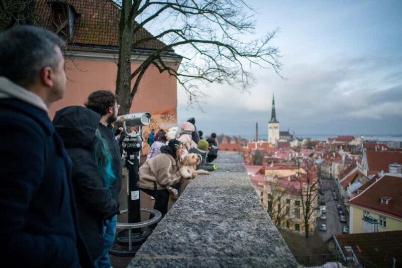 Tallinn Classic: Old Town and Kadriorg District Guided Tour - Discovering Tallinn on a Guided Tour: An In-Depth Review