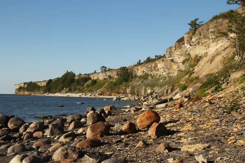 Tallinn: Half-Day Private Estonian Waterfalls - Practical Details and Value