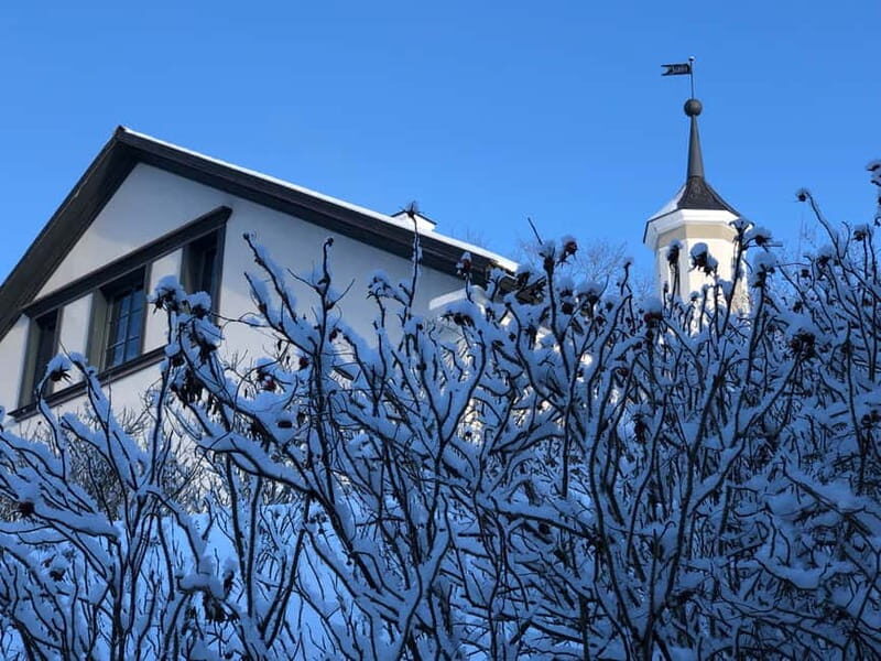 Tallinn: Half-Day Private Estonian Waterfalls - Who Will Love This Tour?