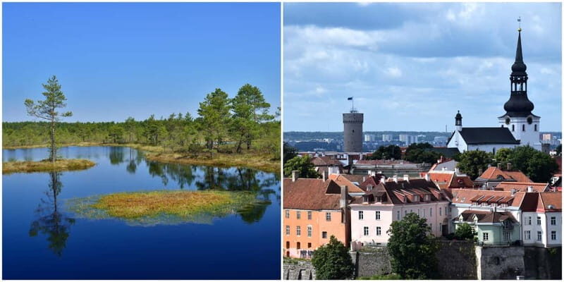Tallinn: Old Town Tour with Bog Walk - Key Points