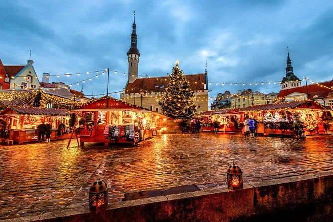 tallinn-shore-excursion-tallinn-sightseeing-tour-by-coach-and-foot