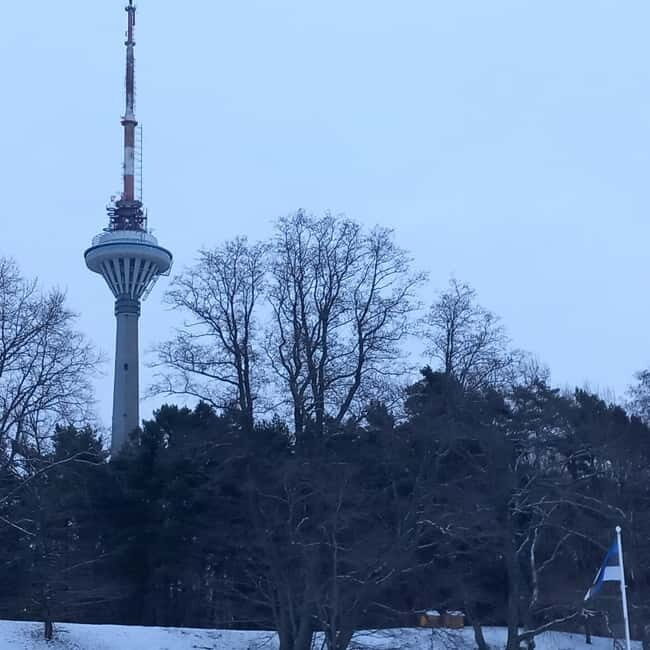Tallinn TV tower and Botanic garden (a tour with a guide) - A Detailed Look at the Tour Experience