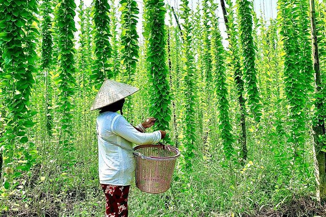 Tam Hiep Island Expedition: Unveiling the Mekong Delta's Treasure - Key Points