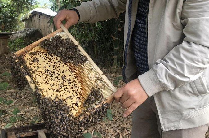 Tam Hiep Island Expedition: Unveiling the Mekong Delta's Treasure - Final Thoughts