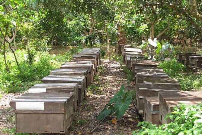 Tam Hiep Island Expedition: Unveiling the Mekong Delta's Treasure - FAQ