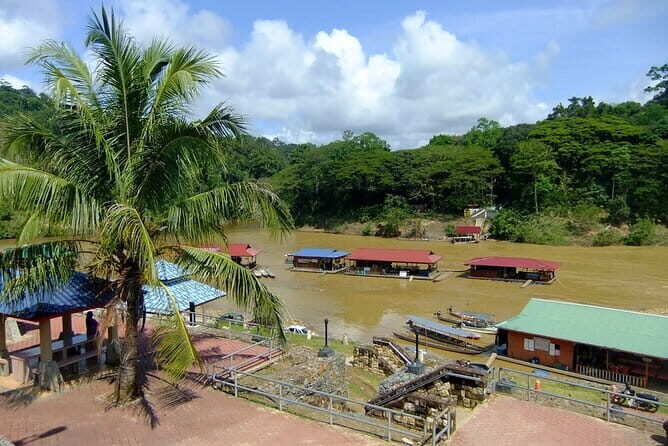 Taman Negara National Park Day Excursion with Canopy Walk from KL - An In-Depth Look at the Taman Negara Day Tour