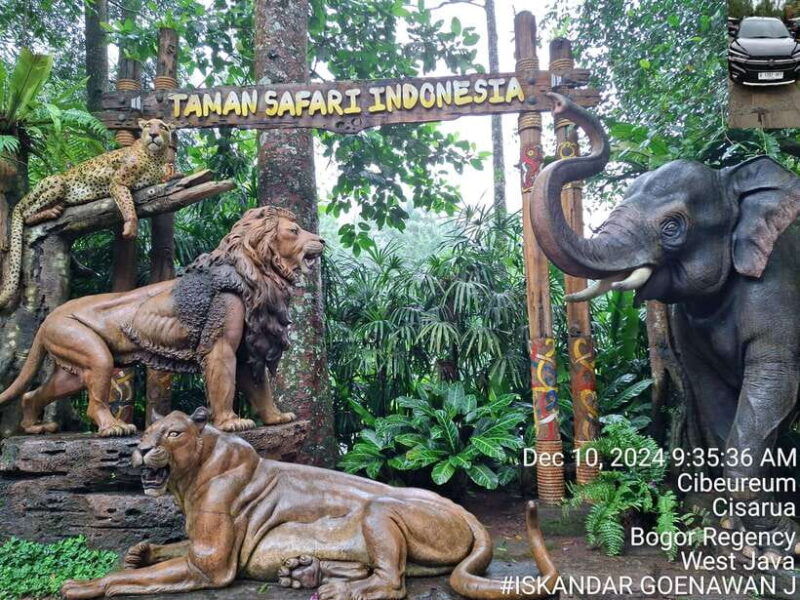 taman-safari-and-tea-plantation-tour-at-puncak