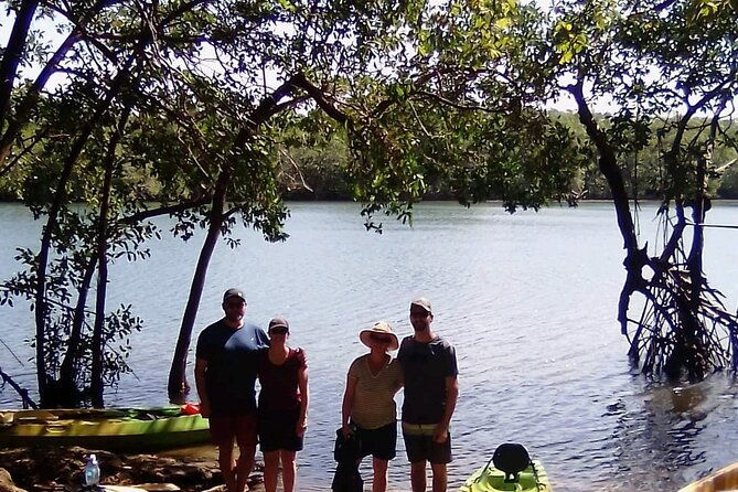 tamarindo-mangrove-forest-national-park-kayaking
