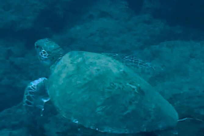 tamarindo-private-snorkeling-boat-tour