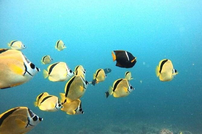 tamarindo-private-snorkeling-boat-tour