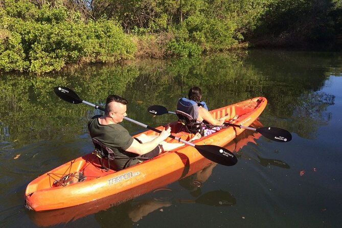 tamarindo-river-guided-kayak-mangrove-environment-watching-tour-in-guanacaste