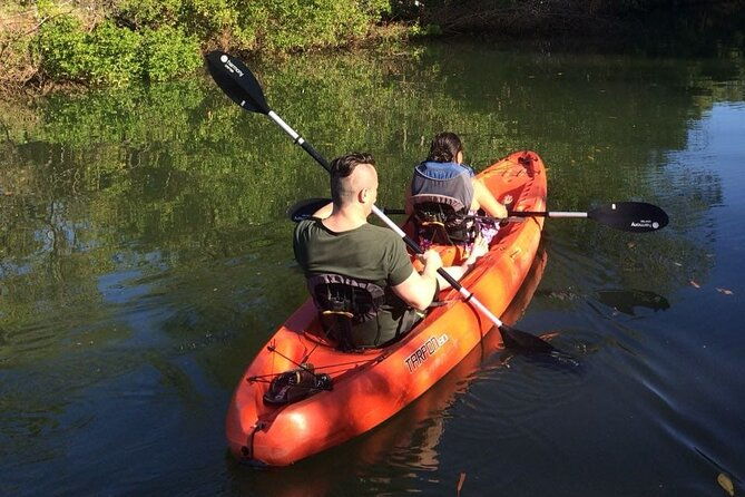 tamarindo-river-guided-kayak-mangrove-environment-watching-tour-in-guanacaste