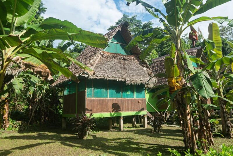 tambopata-2-days-and-1-night-adventure-and-sandoval-lake