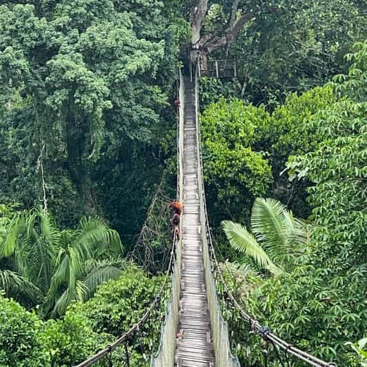 tambopata-2-days-and-1-night-adventure-and-sandoval-lake