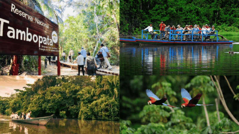 tambopata-4days-3nights