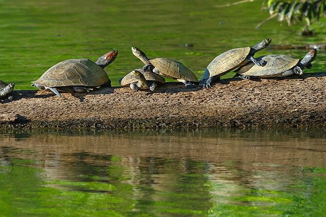 tambopata-adventure-tour-03-days