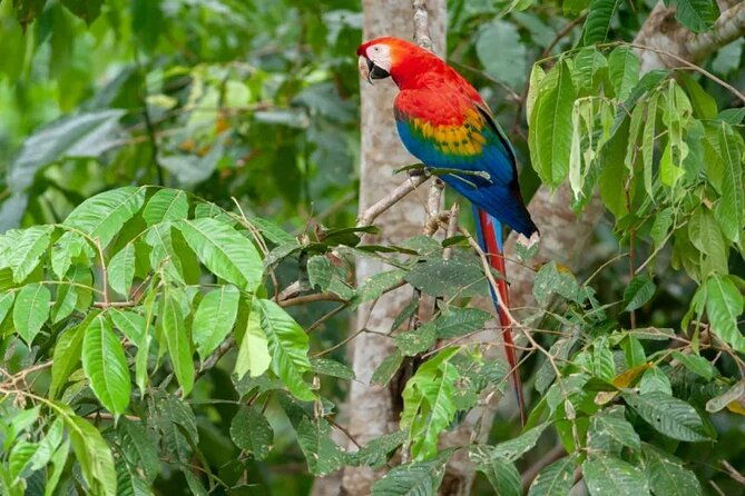 tambopata-adventure-tour-03-days