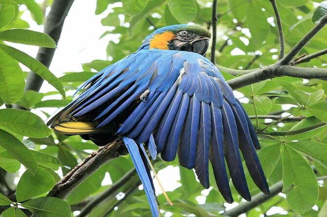 tambopata-adventure-tour-03-days