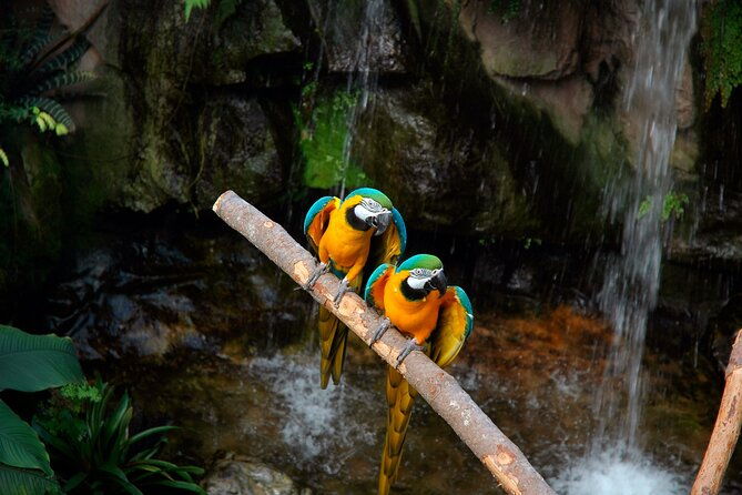 tambopata-amazon-reserved-zone-exclusive-experience-6-days