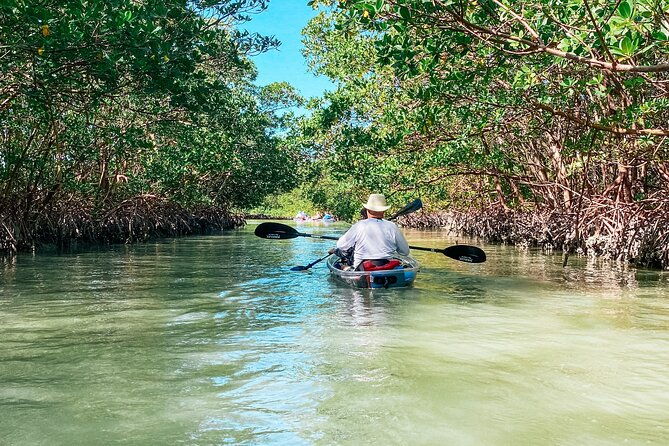 tambopata-amazon-reserved-zone-exclusive-experience-6-days