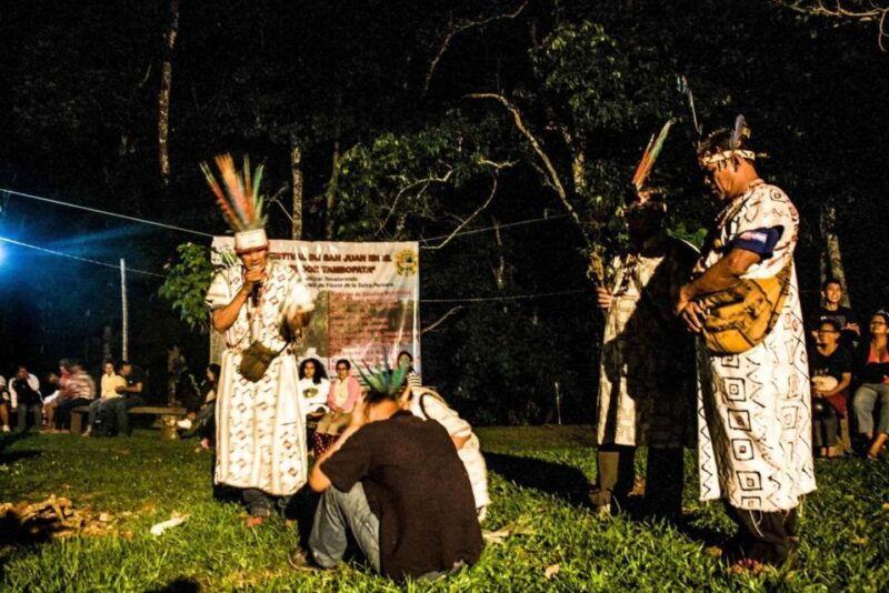 tambopata-ayahuasca-retreat-2-days-lodge-and-lunch