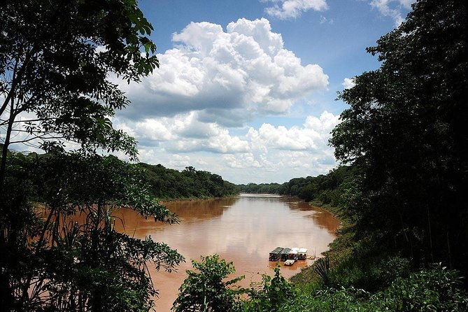 tambopata-chuncho-macaw-clay-lick-3-days