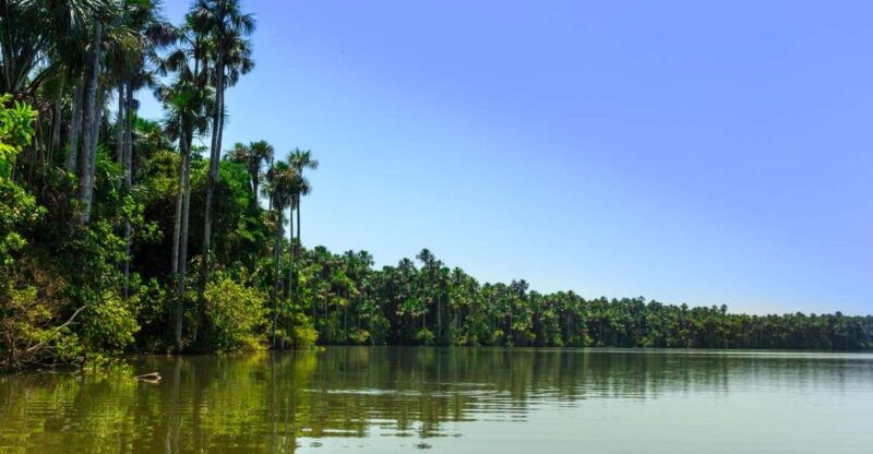 tambopata-excursion-3-days-2-nights