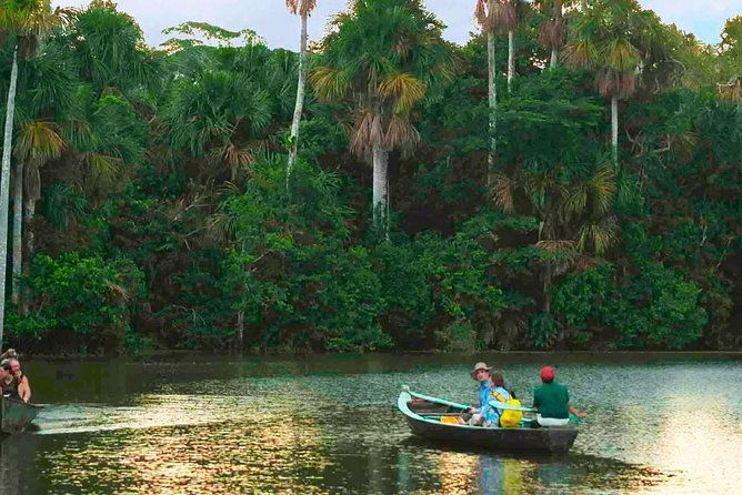 tambopata-jungle-adventure-tour-4-days