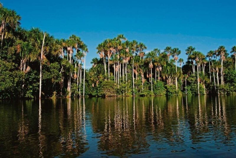 tambopata-lago-sandoval-and-colpa-of-loros-3-days