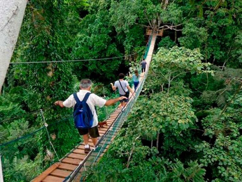 tambopata-lago-sandoval-and-colpa-of-loros-3-days
