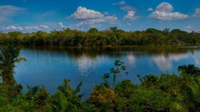 tambopata-lago-sandoval-and-colpa-of-loros-3-days