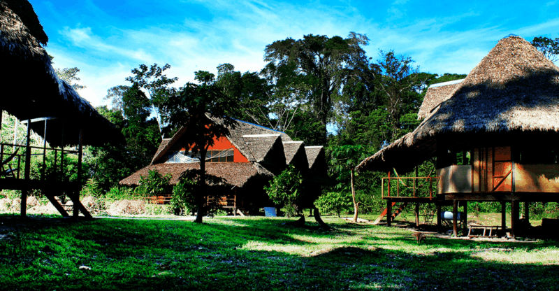 tambopata-macaw-clay-lick-4-days-3-nights-2