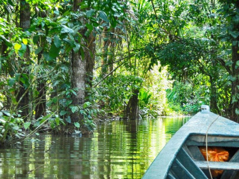 tambopata-multi-day-amazon-rainforest-tour-with-local-guide